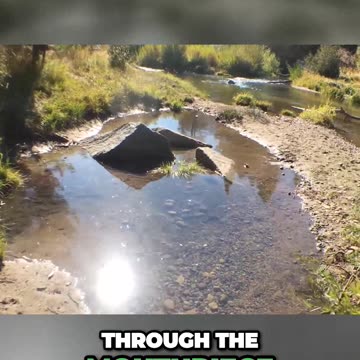 Revolutionary Water Filter Drink from Any Source and Stay Safe