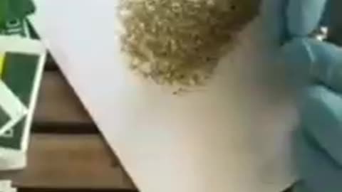 Magnetic tea?