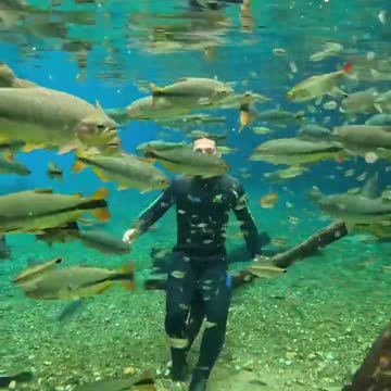 live this incredible experience in nature 💙