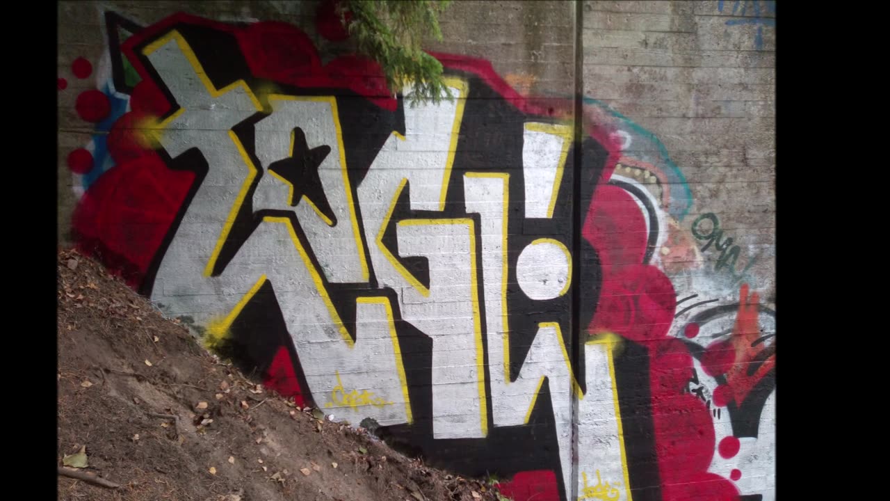 VihtiGraffiti VG10