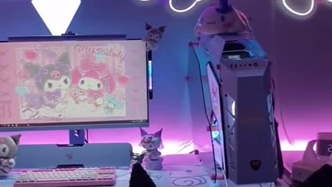 The dream princess room