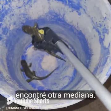 "¡Rescate un animal atrapado en un hueco! 🦎💦" SEGUNDA PARTE