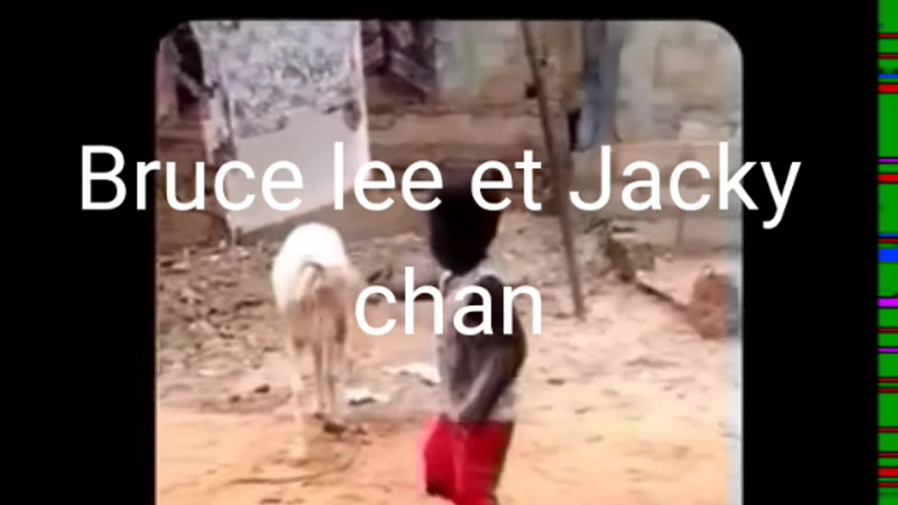 Fight between thé sheap and smal boy