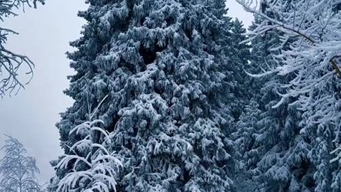 El paisaje más hermoso que jamás verás en tu vida.