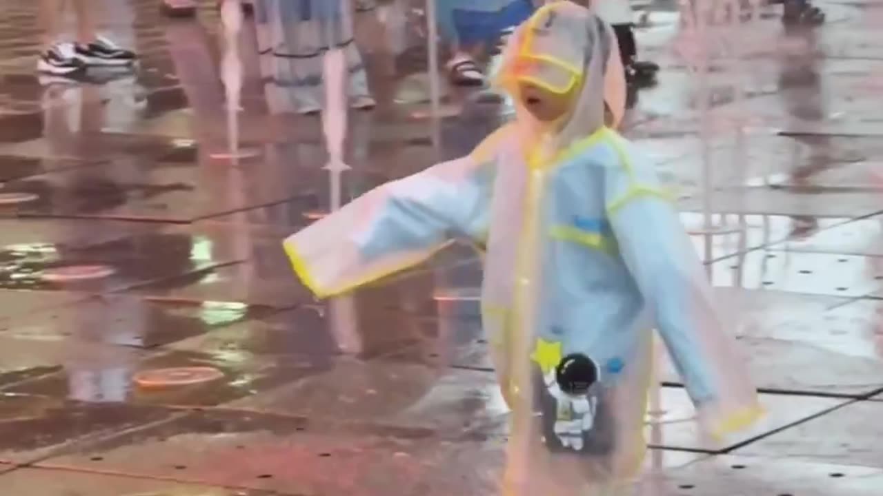 Funny videos enjoy video
