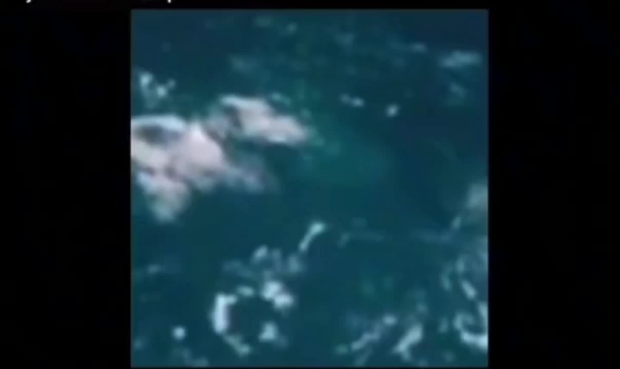 Tonga anomaly