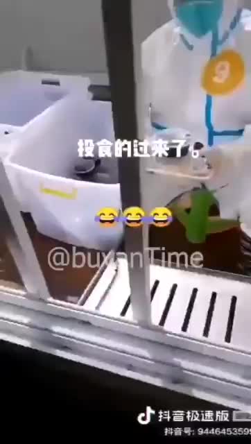 PRISON China virus covid camp- Six Million people are being detained like this