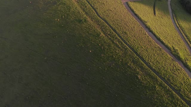 Drone Footage - High Quality View of a Field