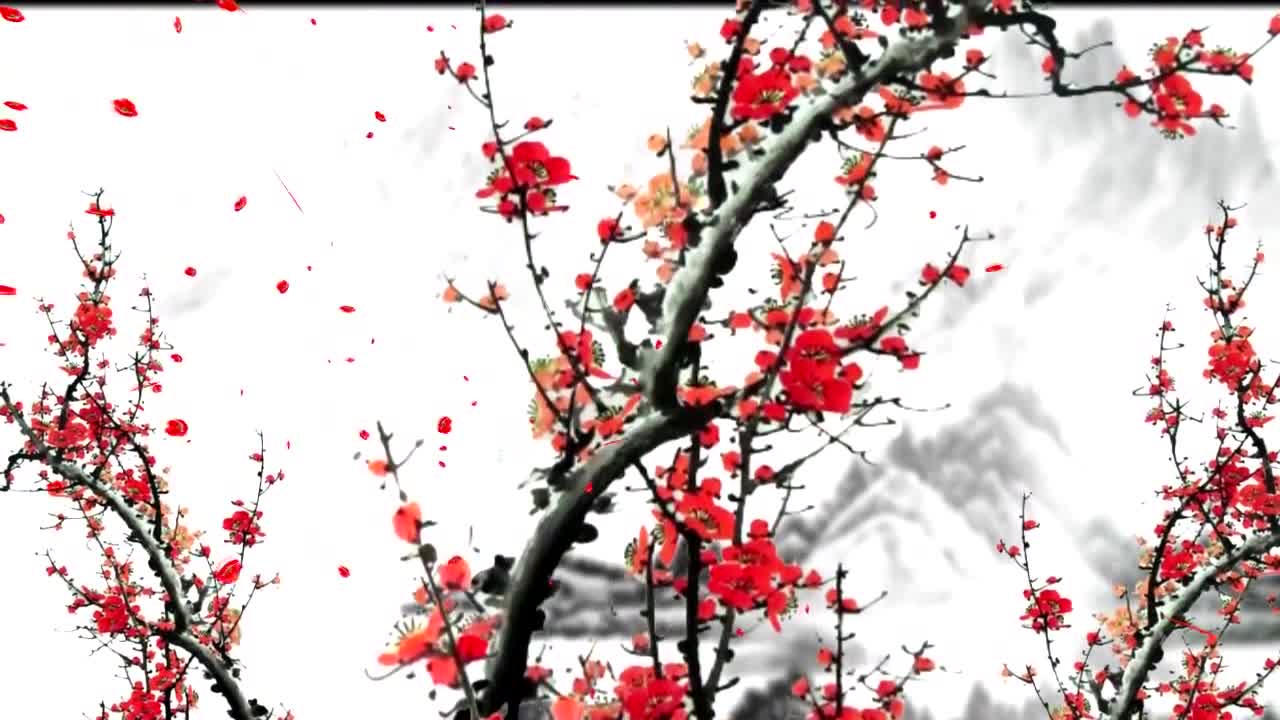 beautiful winter plum snow scene background video