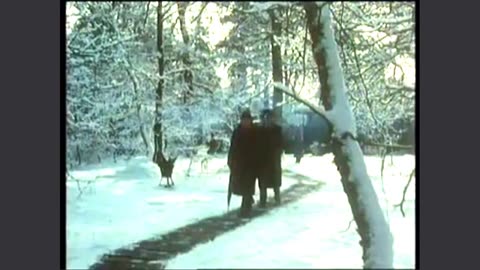 Gossip From the Forest ("Screenplay" E1, 1979)