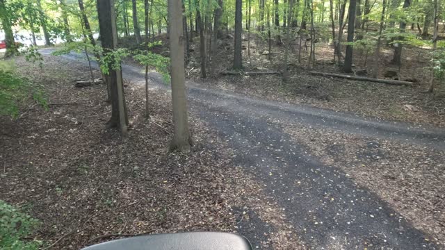 2022 Hunting Compilation. All the Deer Sightings of the Year.