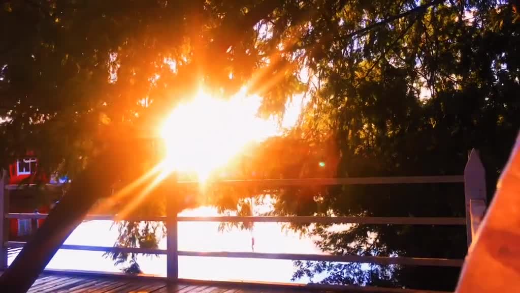 Romantic afternoon