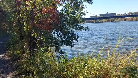 QUELLE BEAUTE AU PARC ILE DE VESITATION PENDANT AUTOMNE