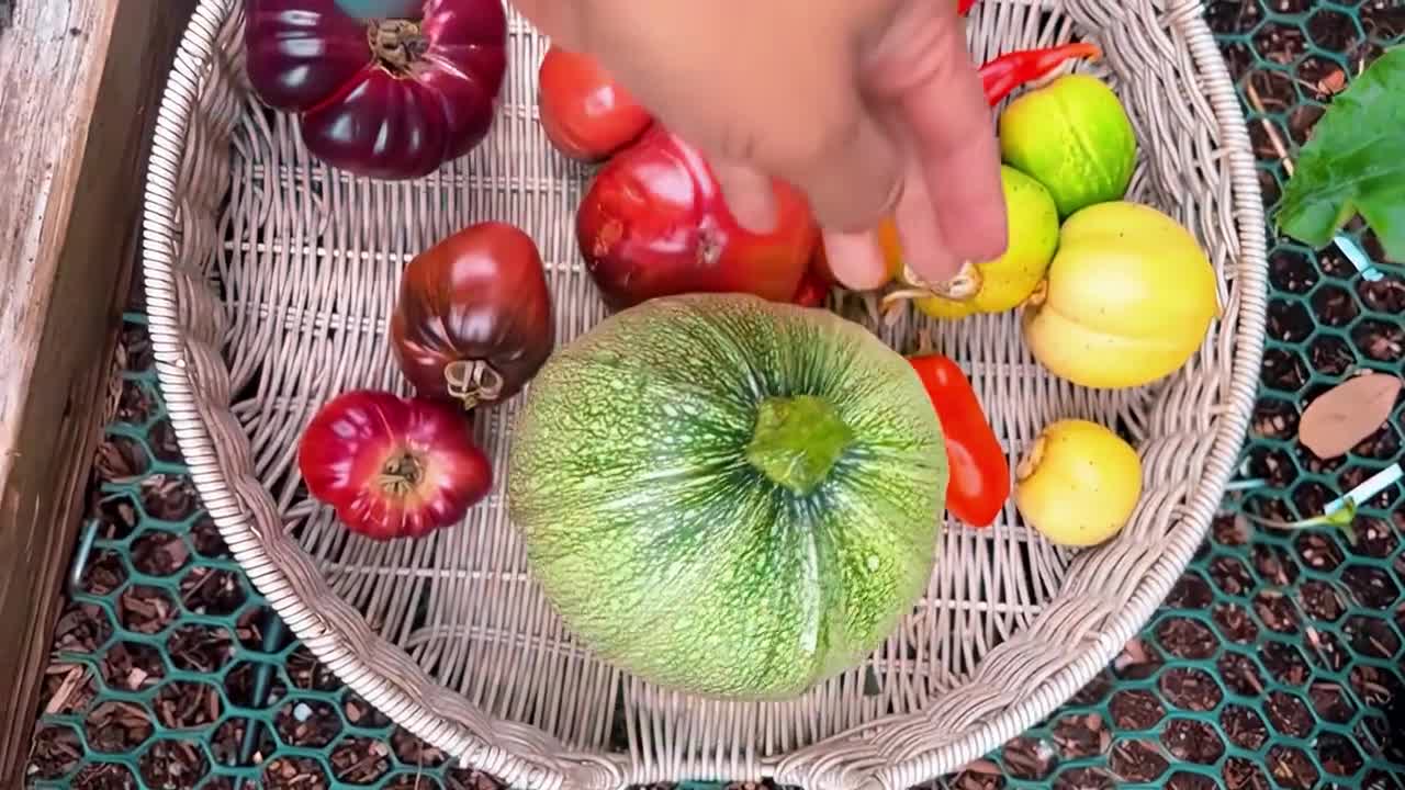 Colorful and beautiful vegetables and fruits