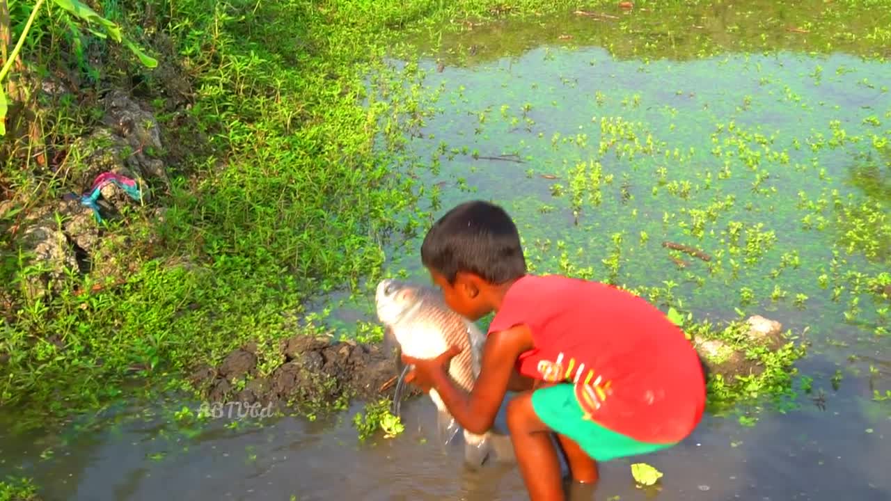 amazing hand fishing - smart boy catching fish by hand - traditional hand fishing video