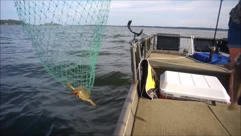 Gloucester Fishing at the Ware River....fish were caught!