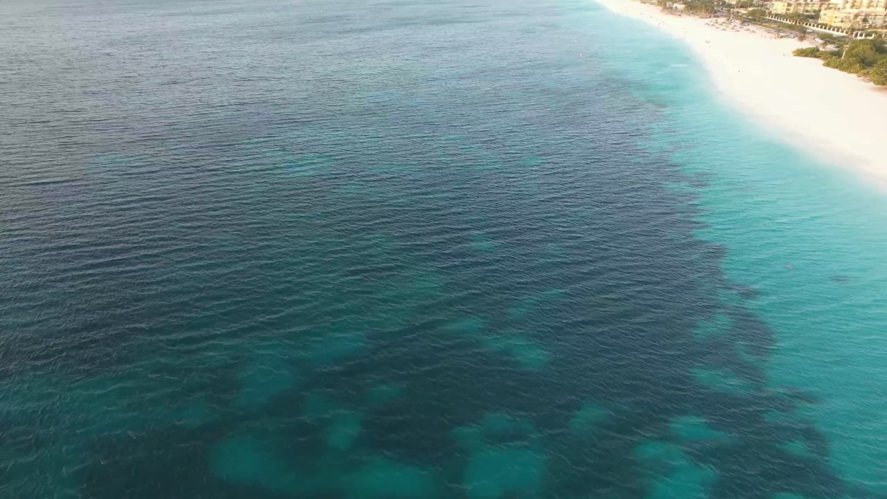 Drone view of beach and ocean