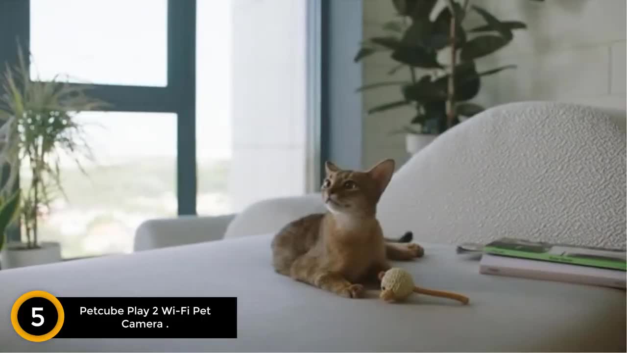 BEST SMART PET CAMERAS OF 2022