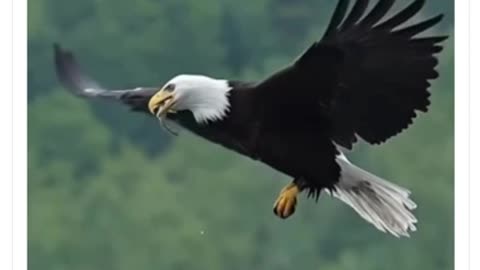 Timing is Everything
