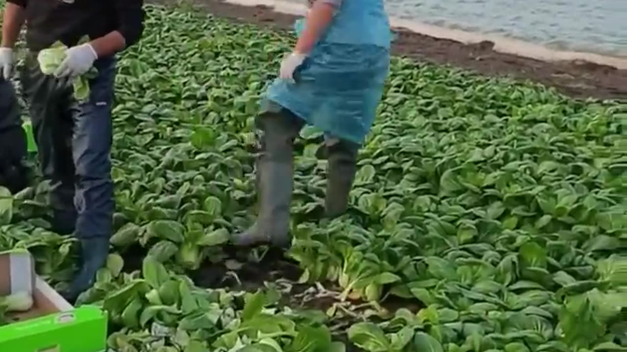 The end 😂😂😂 #funny #viral #shorts #funnyvideos #trustedhumor (1)