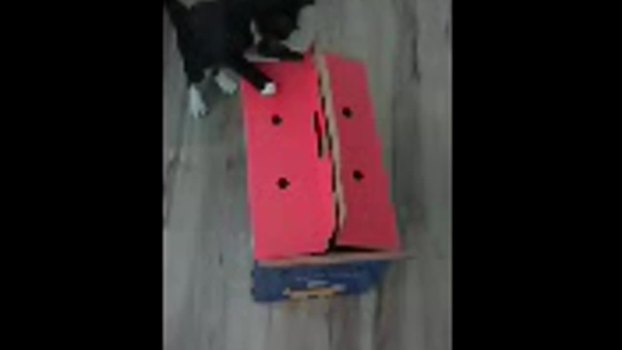 Red box