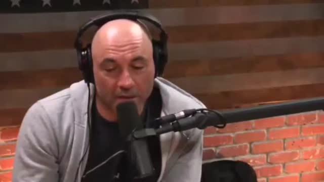 Joe Rogan Says Juice Had It Easy