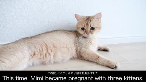 I have an important announcement