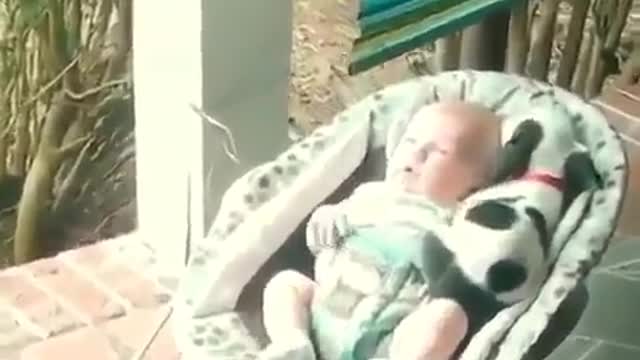 A dog sleeping with a baby