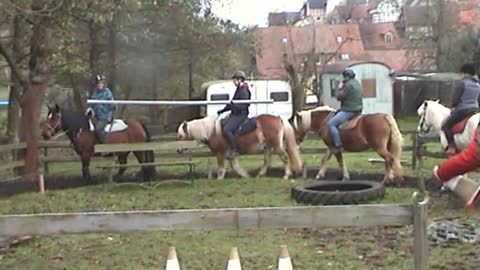 Wanderreitschule - Einführungskurs - Transport-Übungen Stange