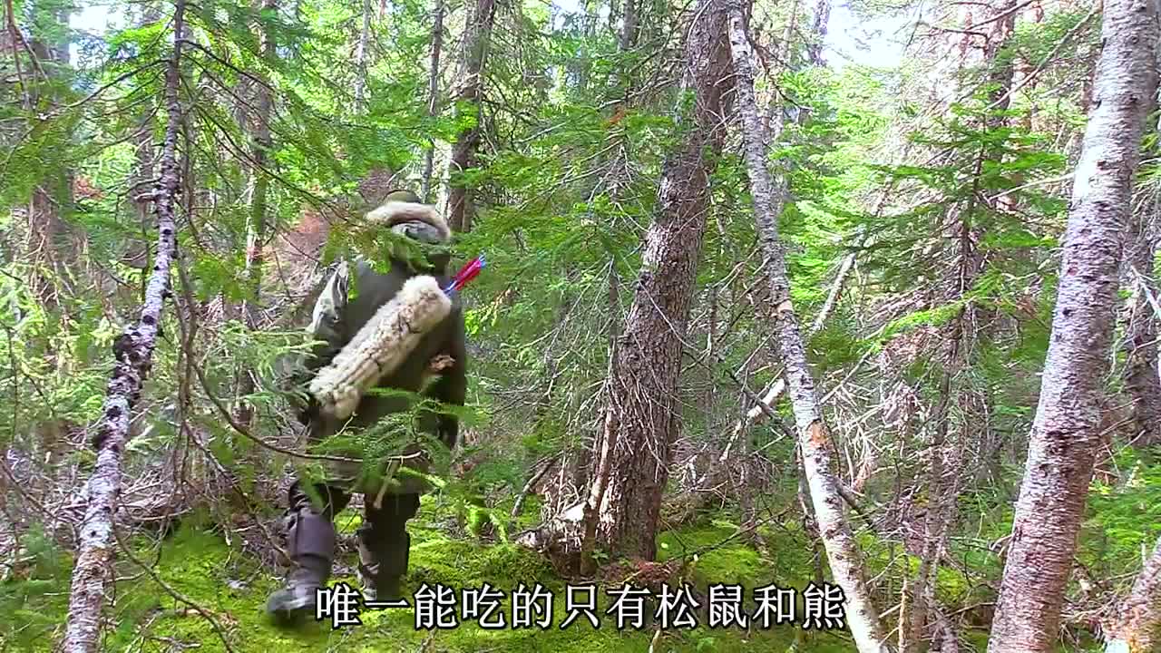 10 people survived in the wilderness, and only 3 people remained after 52 days.
