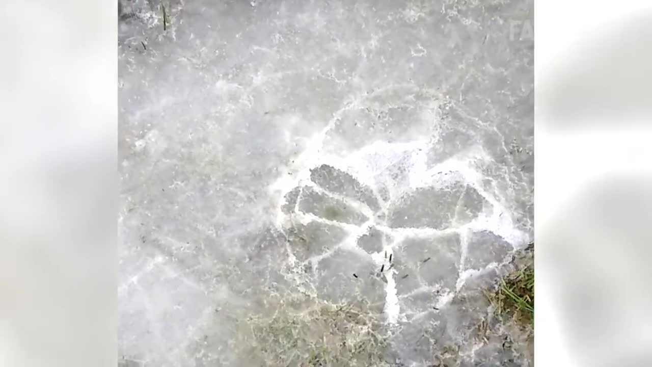 Funny and Weird Weather | Best Nature Fails | FailArmy