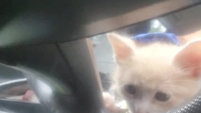 Cute but I’m still hoping Louie comes home. I miss him.
