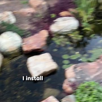 Cool urban homestead