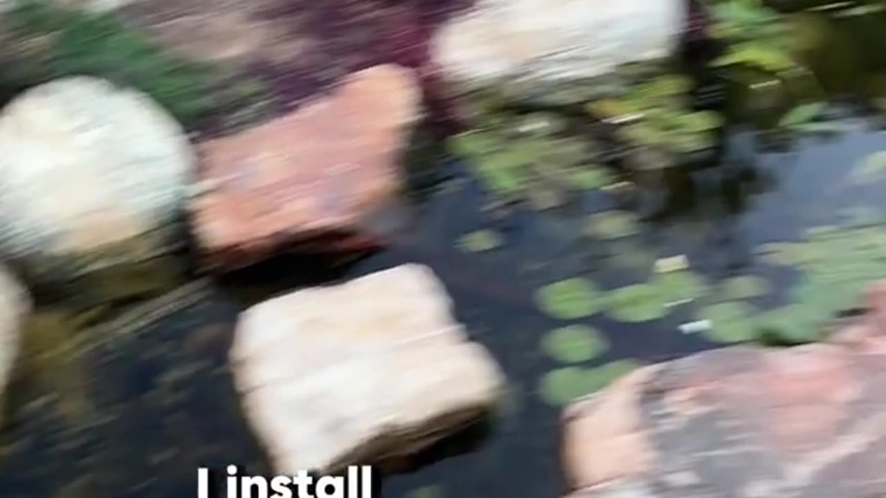 Cool urban homestead