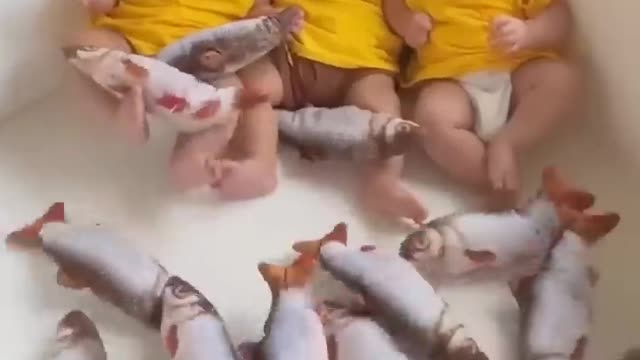 Baby's fish play dance