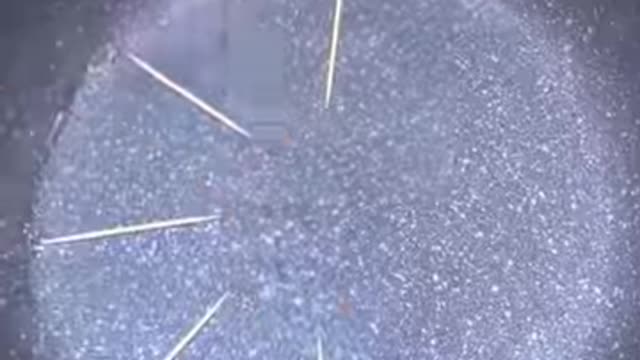 What's life in the kitchen without these products😮