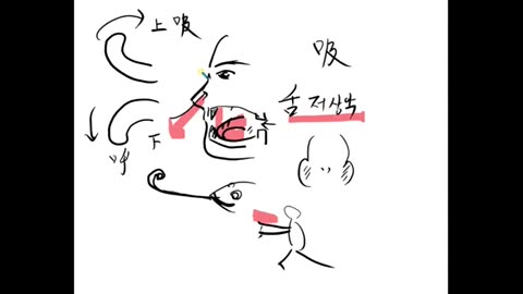 암환자실내운동의원리1-5,반룡인수한의원, 강남구청역, 한태영원장님, 사상의학