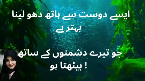 aqwal e zareen in urdu