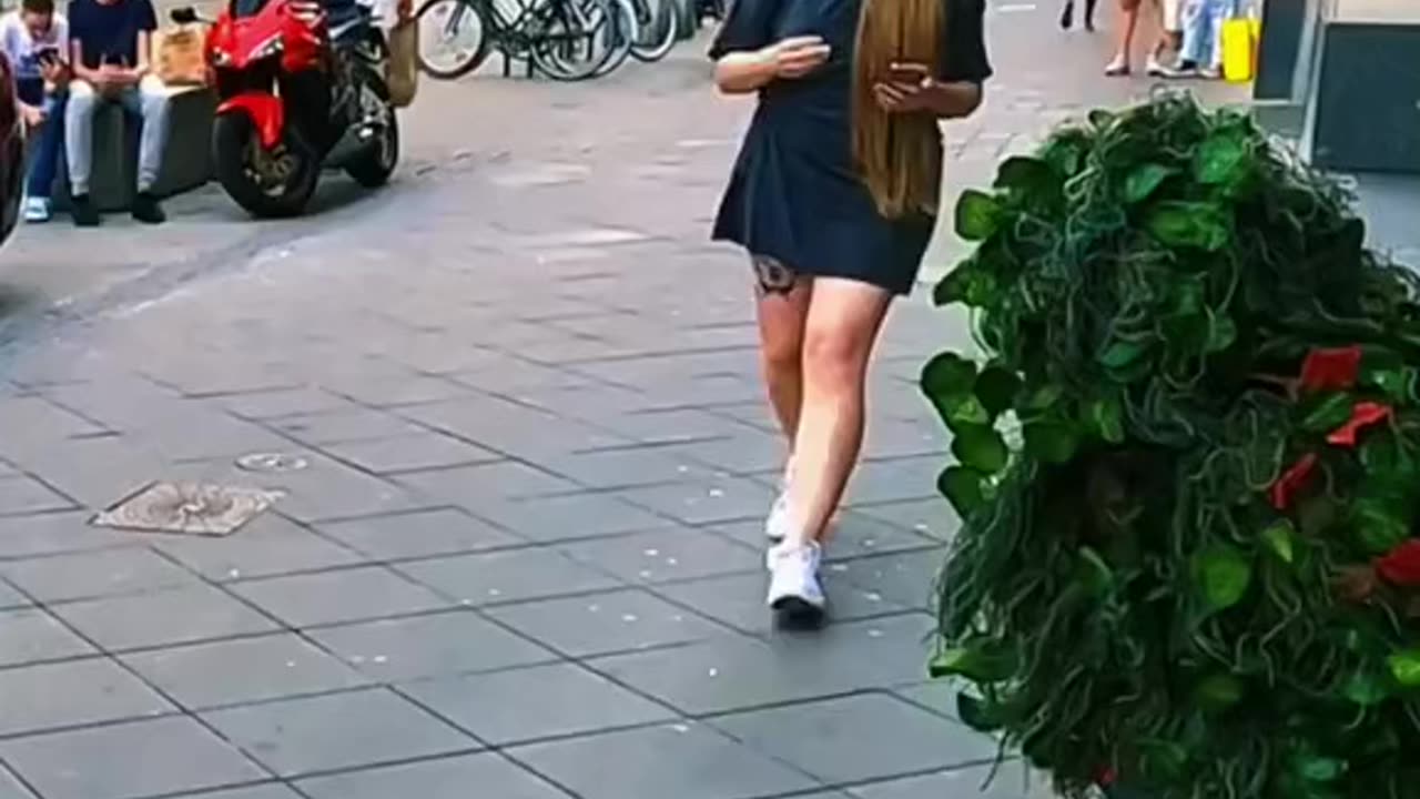 Bushman Prank