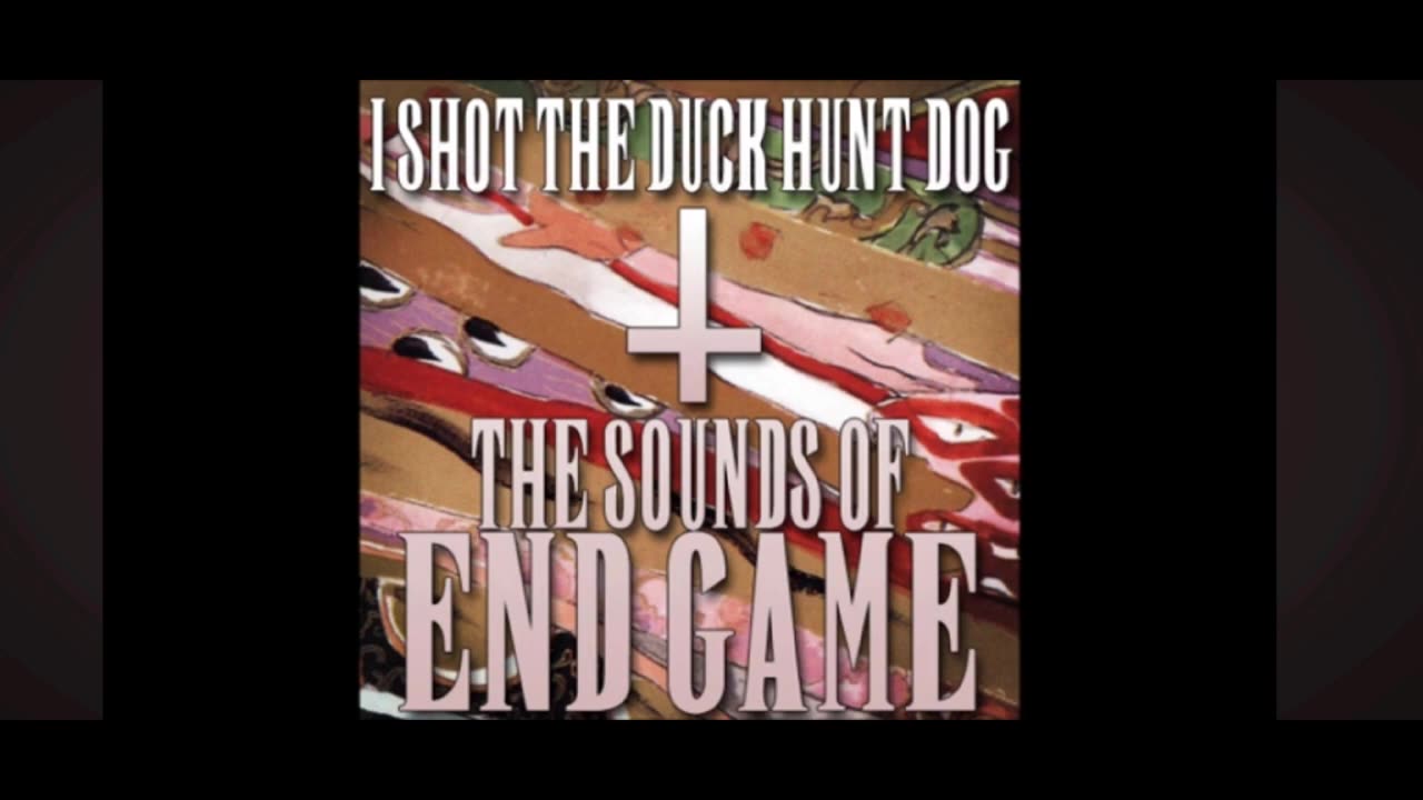 I Shot the Duck Hunt Dog - BGM #6