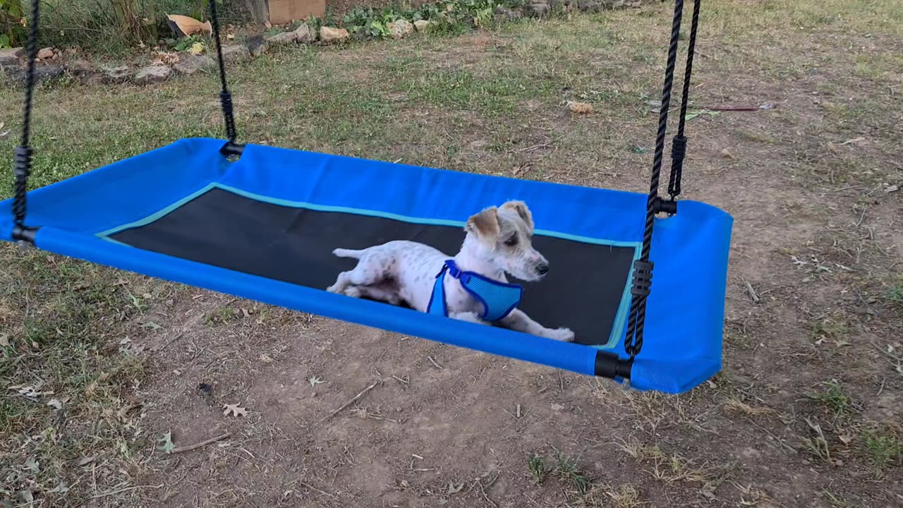 Winston's First swing ride!