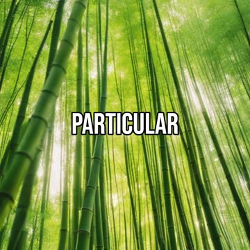 The Journey to Success: Planting Seeds for Long-Term Goals. #goalsetting