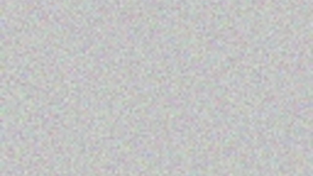 pilot