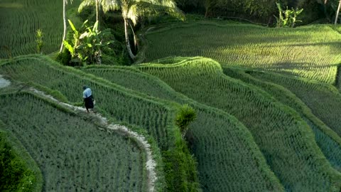 Indonesia Beauty