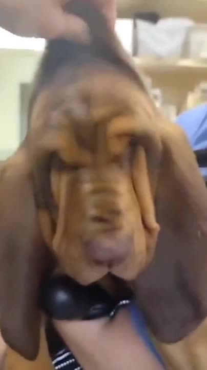 A little help clearing his vision