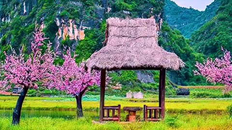 Magical nature