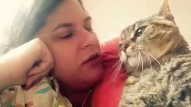 Talking cat says NO! to kisses on the head