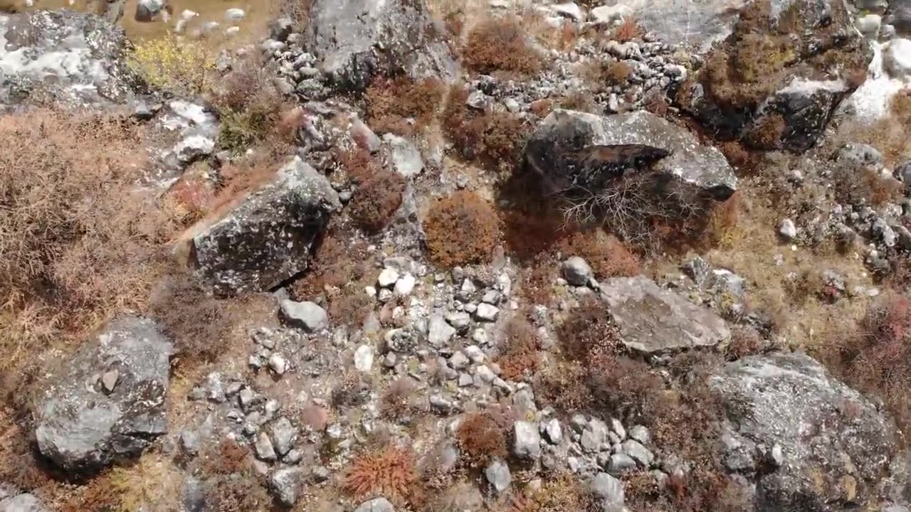 Langtang Valley trek