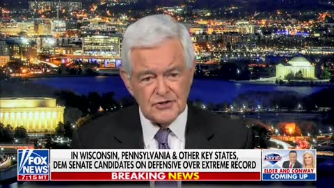 Gingrich: Warnock Is Dragging Georgia Race in the Mud Hoping Herschel Walker Will Drown in It