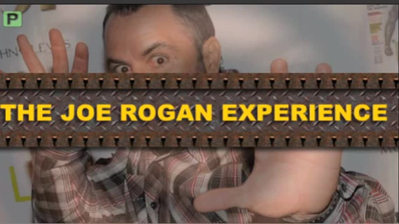 Joe Rogan Experience #294 - Ari Shaffir